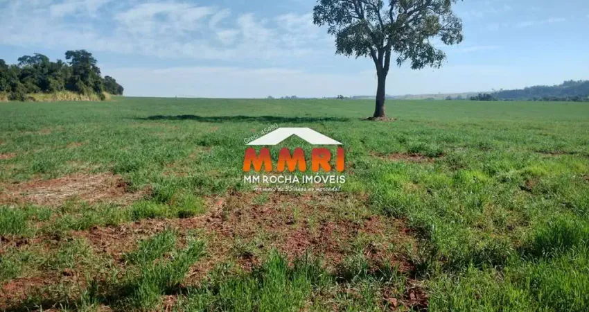 Chácara / sítio à venda na Zona Rural, Capela do Alto 
