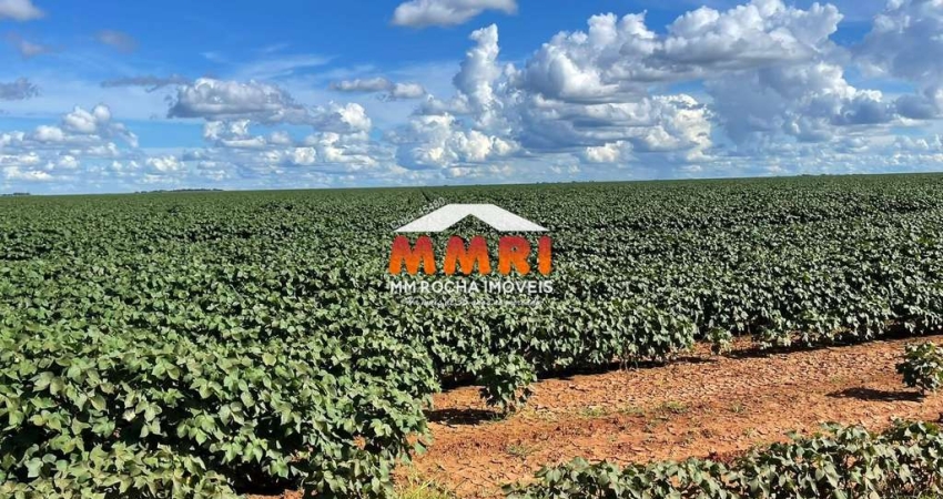 Fazenda à venda na Zona Rural, Nova Ubiratã 