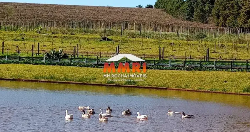 Ponto comercial à venda na Zona Rural, Entre-Ijuís 