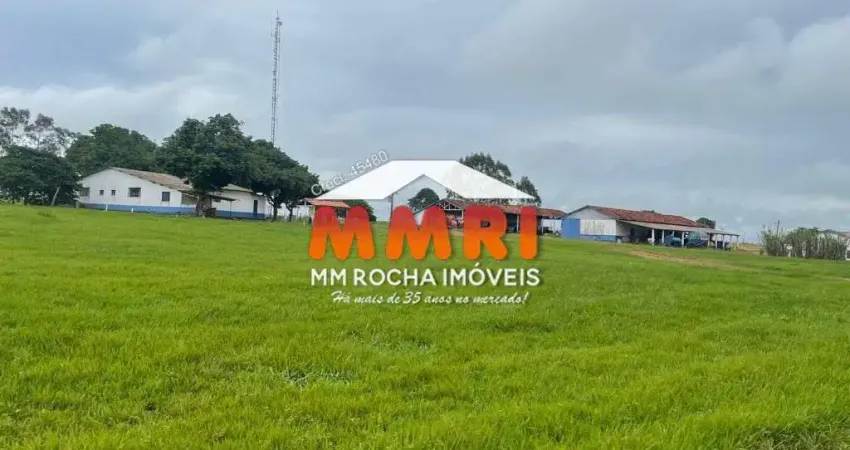 Fazenda de Dupla Aptidão à venda em Santa Fé do Tocantins/TO