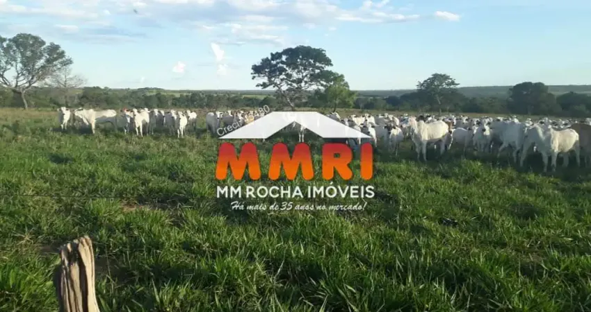 Fazenda à venda na Zona Rural, Novo São Joaquim 