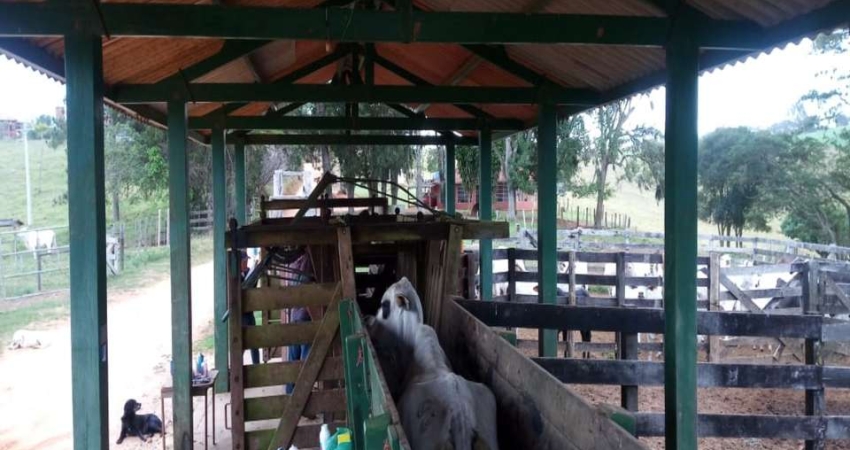 Fazenda à Venda em Itapetininga/SP