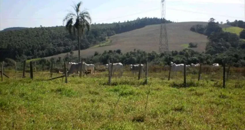 Chácara / sítio com 1 quarto à venda na Zona Rural, Pilar do Sul 