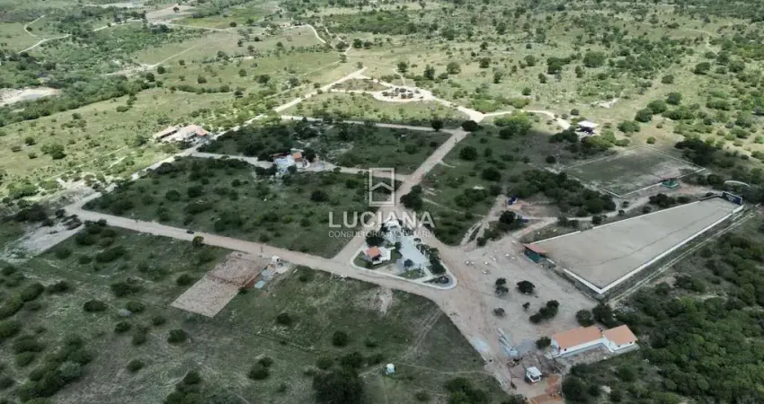 Terreno à venda na Rodovia (Rua Plácido Corrêa de Lima), 1, Zona Rural, Bezerros