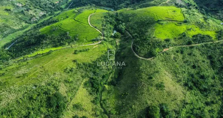 Excelente Propriedade! 70 Hectares e Bastante Água - Amaraji