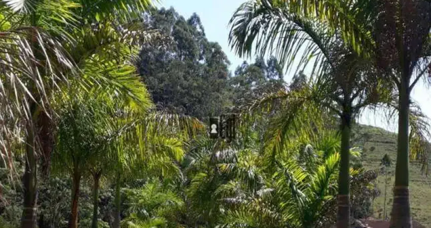 Fazenda com 9 dormitórios à venda, 3170000 m² por r$ 6.500.000,00 - rio preto - rio preto/mg