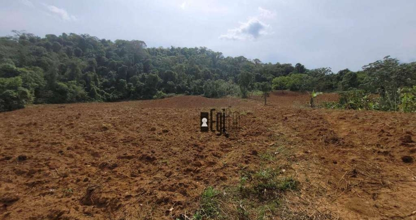 Sítio à venda, 620000 m² por R$ 500.000,00 - Piau - Piau/MG