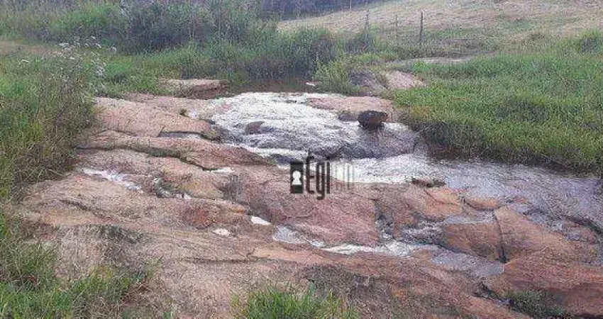 Chácara com 2 dormitórios à venda, 25000 m² por r$ 150.000,00 - centro - torreões (juiz de fora)/mg