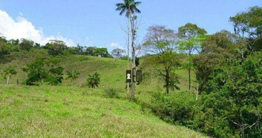 Sítio à venda, 160000 m² por R$ 260.000,00 - Piau - Piau/MG