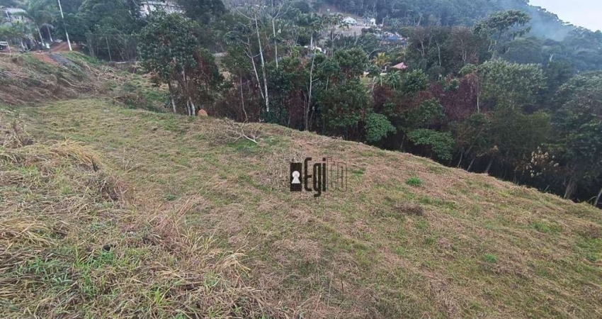 Terreno à venda, 30000 m² por R$ 690.000 - Salvaterra - Juiz de Fora/MG