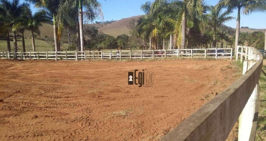 Terreno à venda, 1700 m² por R$ 79.900,00 - Centro - Torreões (Juiz de Fora)/MG