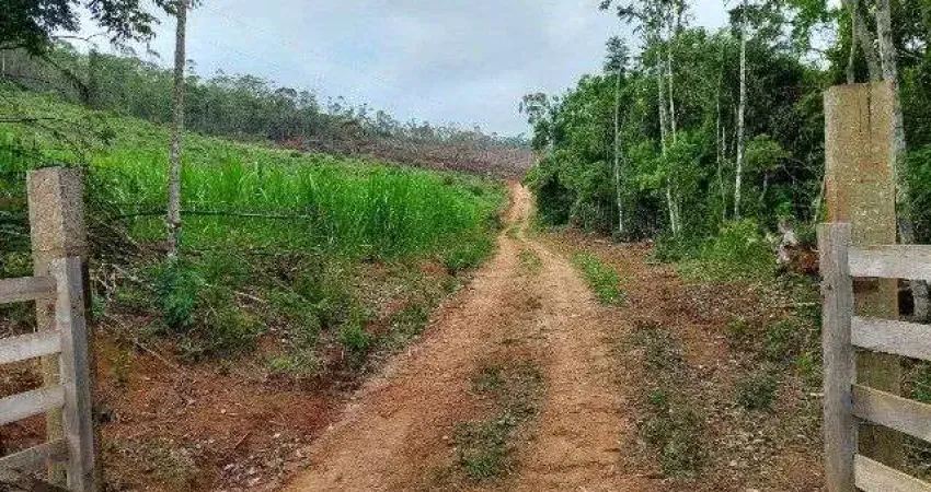 Sítio com 1 dormitório à venda, 140000 m² por R$ 370.000,00 - Valadares - Juiz de Fora/MG