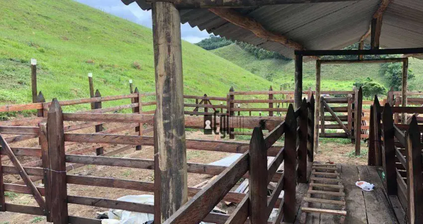 Fazenda com 4 dormitórios à venda, 700000 m² por R$ 1.450.000,00 - Centro - Juiz de Fora/MG