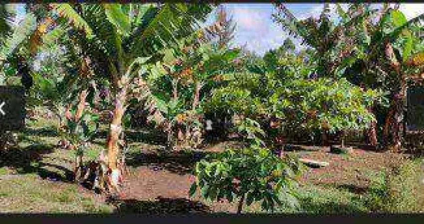 Chácara com 4 dormitórios à venda, 3000 m² por R$ 550.000 - Sagrado  Coração  de Jesus - Juiz de Fora/MG
