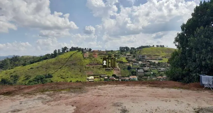 Chácara com 1 dormitório à venda, 1300 m² por R$ 250.000,00 - Barreira do Triunfo - Juiz de Fora/MG