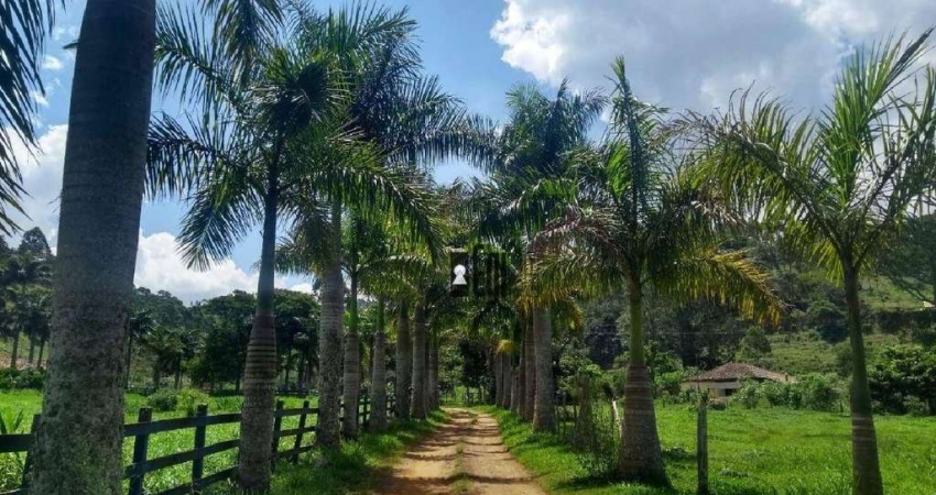 Terreno à venda, 1700 m² por R$ 80.000 - Centro - Torreões (Juiz de Fora)/MG
