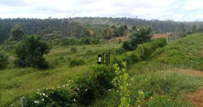 Terreno à venda, 1140 m² por R$ 60.000 - Torreões (Juiz de Fora)/MG