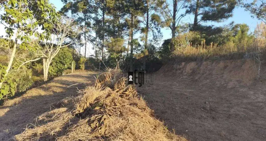 Terreno à venda, 312 m² por R$ 85.000,00 - Filgueiras - Juiz de Fora/MG