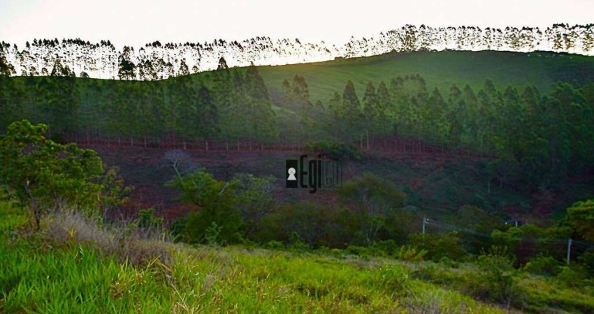 Terreno à venda, 1100 m² por R$ 70.000,00 - Graminha - Juiz de Fora/MG