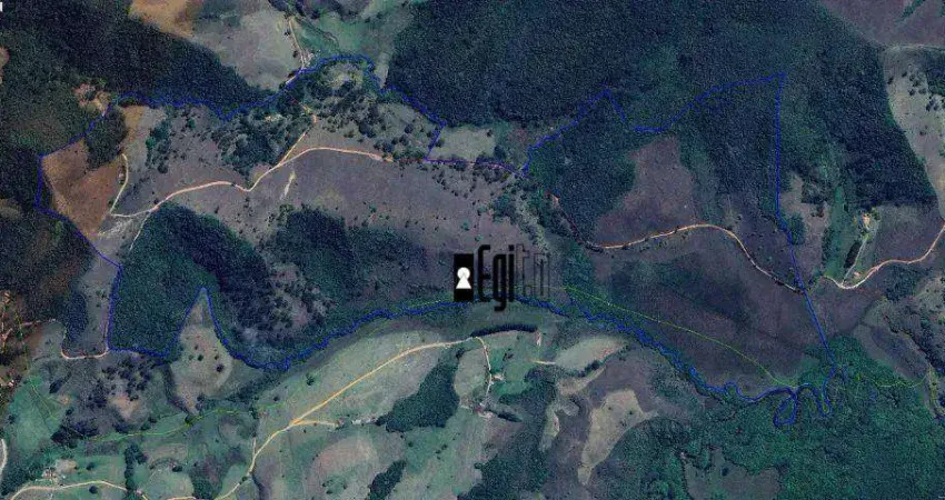 Fazenda com 1 dormitório à venda, 980000 m² por R$ 1.960.000,00 - Zona Rural - Liberdade/MG