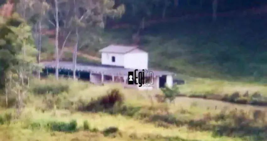 Fazenda com 5 dormitórios à venda, 1250000 m² por r$ 4.000.000,00 - centro - argirita/mg