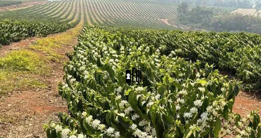 Fazenda com 1 dormitório à venda, 1510000 m² por R$ 60.000.000,00 - Vila Pinto - Varginha/MG