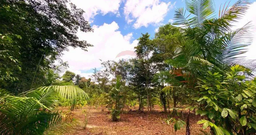 Fazenda de plantação de cacau à venda na zona rural de Barcarena