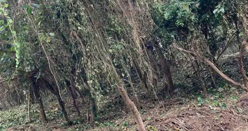 Terreno a venda -residencial refúgio dos amigos/vargem grande paulista