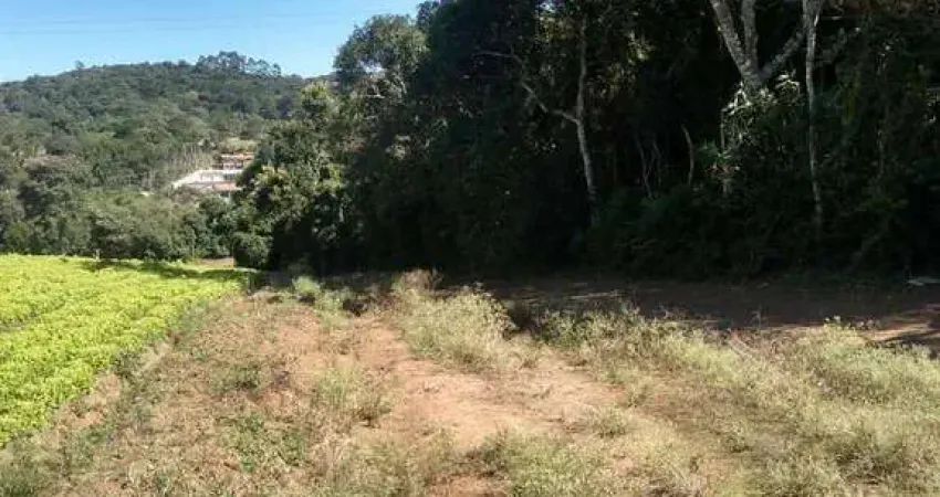 Fazenda à venda na Lagoa, Vargem Grande Paulista