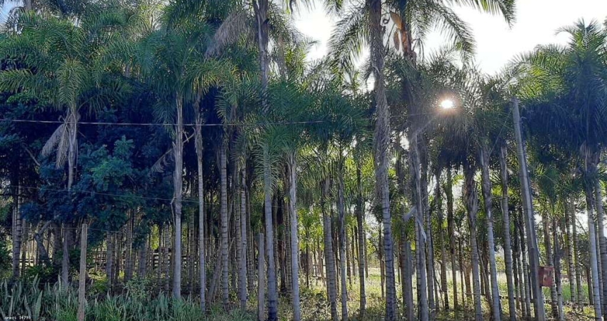 Área Rural para Venda em Jaraguari, RURAL, 3 dormitórios, 3 banheiros