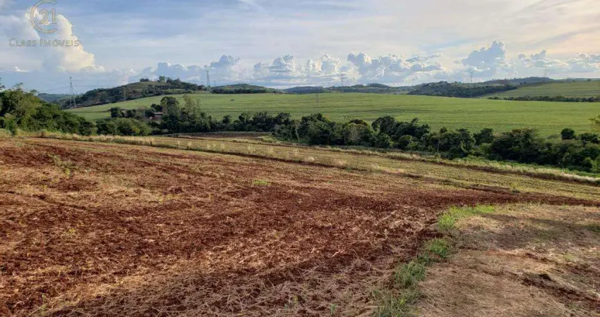 Sítio à venda em Londrina, Conjunto Habitacional Jamile Dequech, com 96800 m²