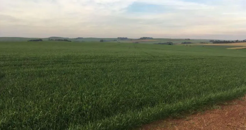 Sítio à venda em Marilândia do Sul, Centro, com 200 m²