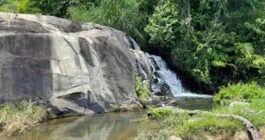 FAZENDA COM 385 HECTARES | Á VENDA | MASCOTE - BAHIA