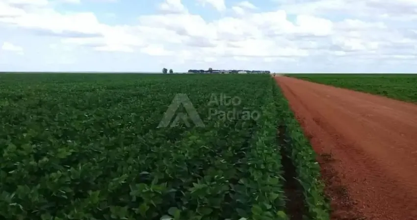 FAZENDA COM 21 MIL HECTARES | Á VENDA | TEREZINHA - PI