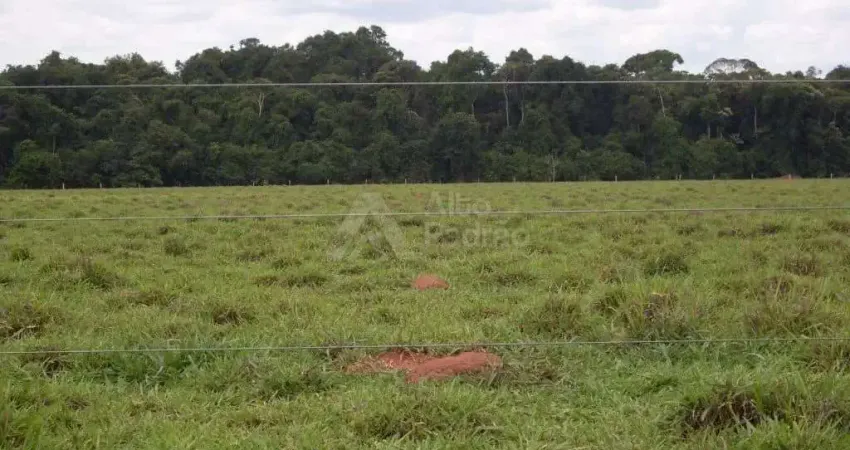 FAZENDA Á VENDA | 90.527 ALQUEIRE | SÃO FELIX DO ARAGUAIA -MG