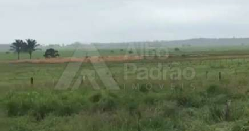 FAZENDA NO MUNICÍPIO DE BOM JESUS DAS SELVAS-MARANHÃO