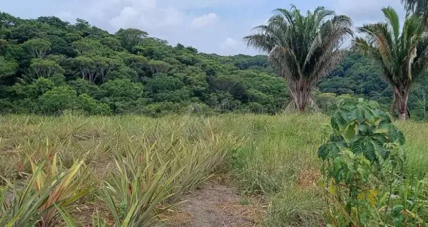 Fazenda à venda na Avenida José Bezerra, s/n, Centro, Tamandaré