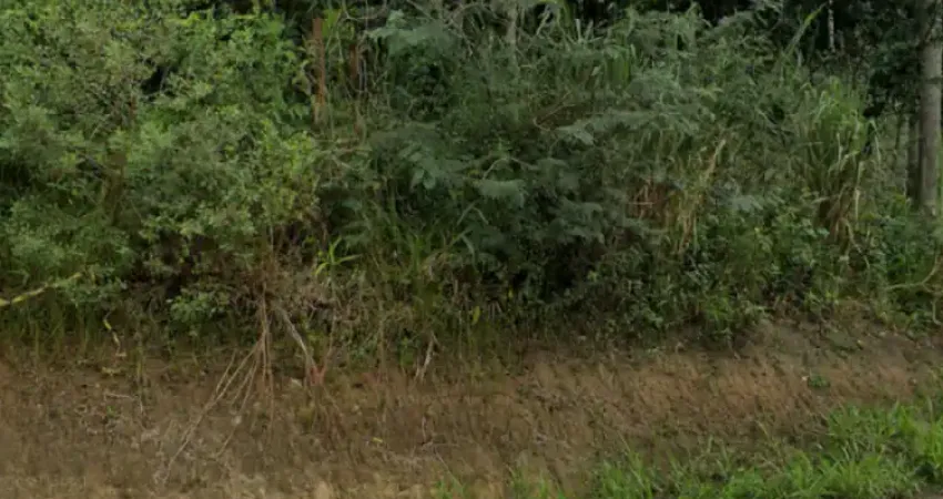 Terreno à venda em Bombas, Bombinhas 