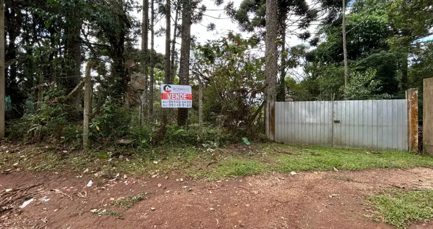Terreno à venda na Rua Rodolfo Perussolo, SN, Conjunto Habitacional Monsenhor Francisco Gorski, Campo Largo