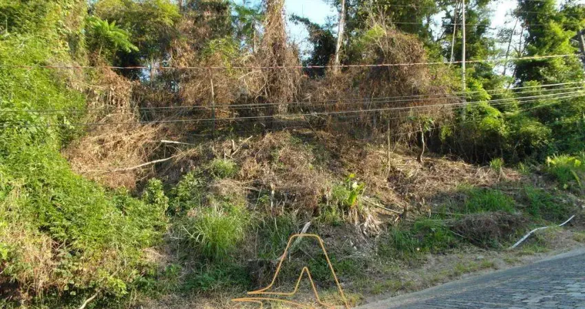 Terreno à venda na Escola Agrícola, Blumenau 