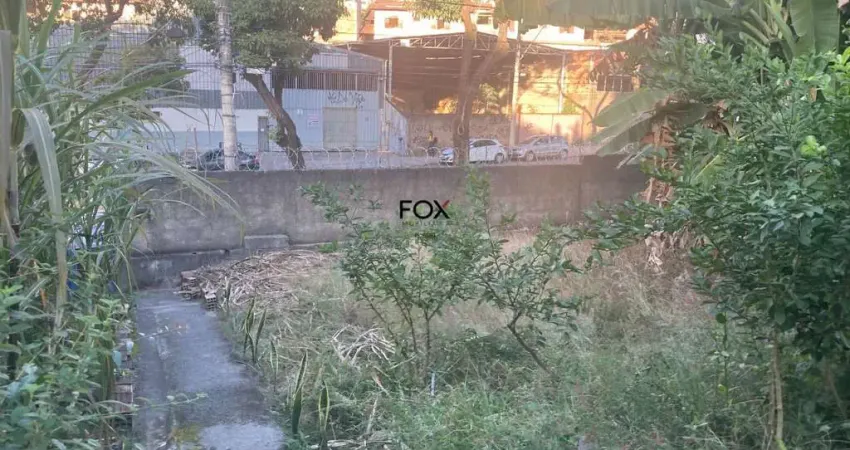 Terreno à venda na Deputado Anuar Menhen, 255, Santa Amélia, Belo Horizonte