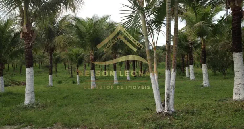 Área à venda em Itaboraí, Granjas Mirassol (Pachecos), 10150m²
