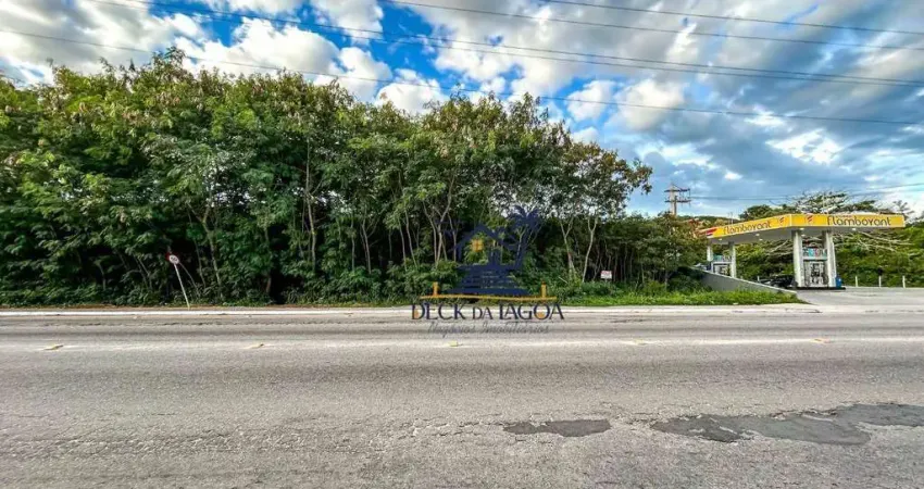 Terreno à venda, 7300 m² por R$ 8.000.000 - Porto do Carro - Cabo Frio/RJ