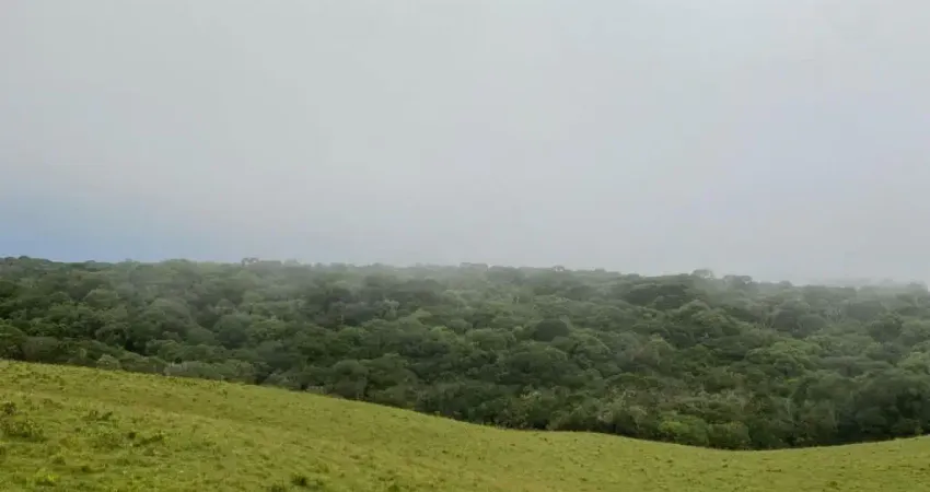 Chácara / sítio à venda na Rua São José, Zona Rural, Cambará do Sul