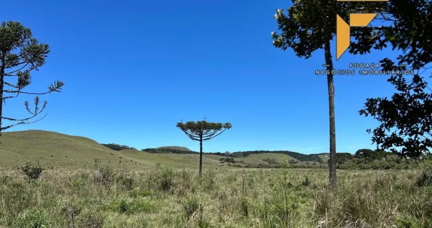 Chácara / sítio à venda na Avenida Getúlio Vargas, 460, Zona Rural, Cambará do Sul