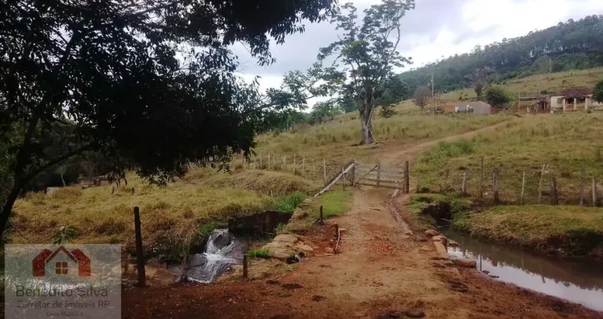 Sítio 9 alqueires ou 21,77 hectares para café e gado, região de Muzambinho - MG, Brasil