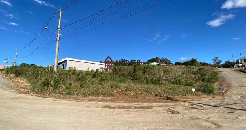 Oportunidade: Terreno em Vicentina, Farroupilha - Venda