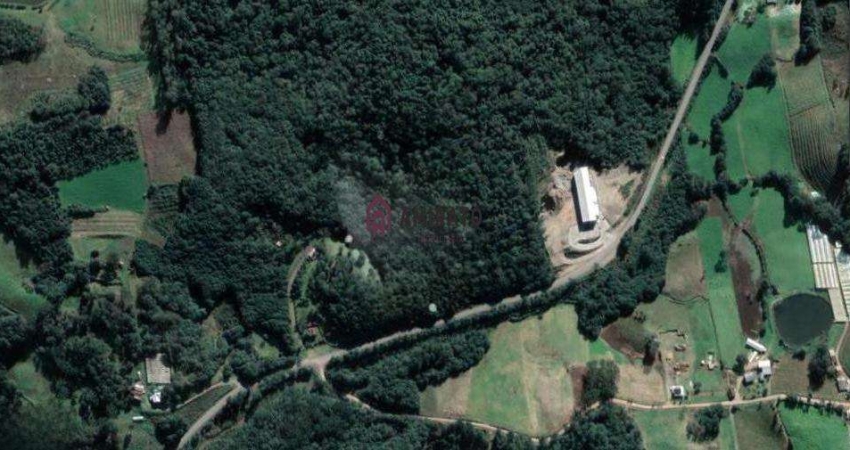 Terreno à venda no São Marcos, Farroupilha 