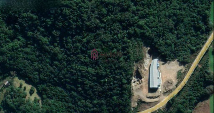 Área de Terra à Venda em Farroupilha/RS – Oportunidade de Investimento