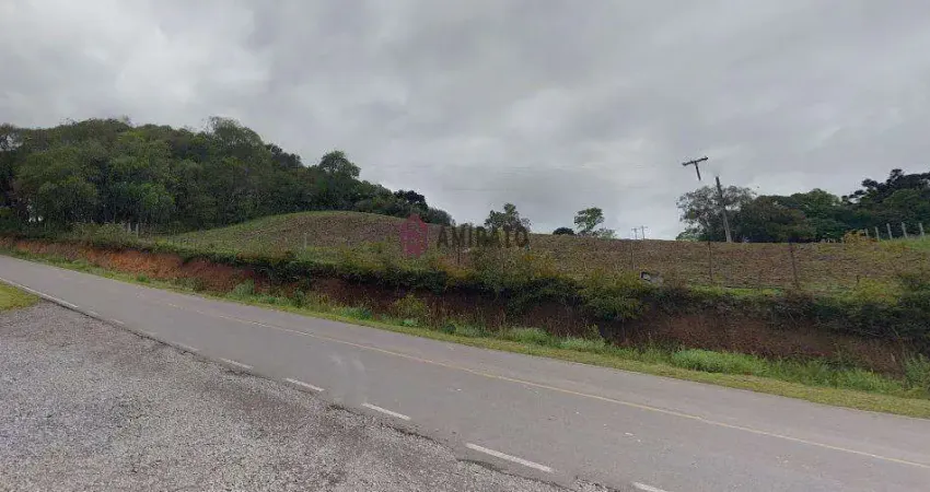 Terreno à venda na Área Rural, Zona Rural, Farroupilha